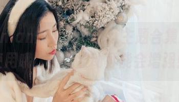 年年Nnian想说，下载红主题合集，谨慎使用哦，情绪波动可能会增强！