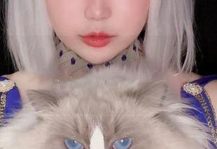 “椒妮佐仁”精选,带你慢慢品味加贺的别样风味